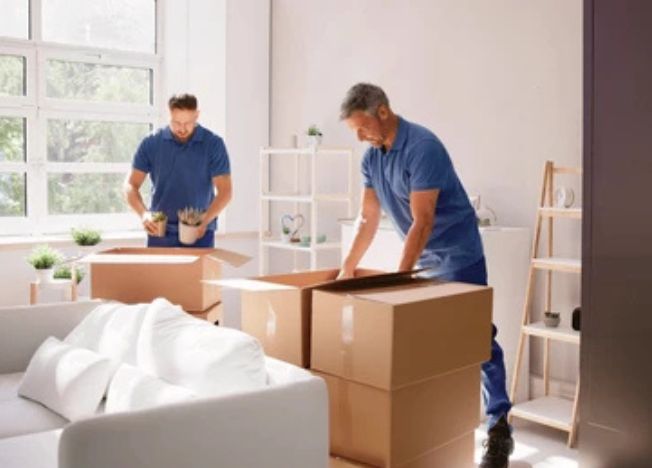 Twenty Four Packers And Movers